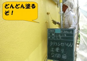 岸和田市　F様邸　外壁塗装　上塗り　2回目中