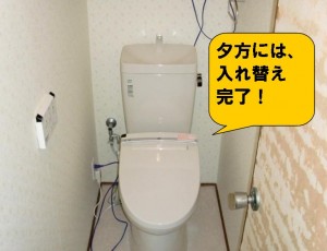 トイレ入れ替え完了