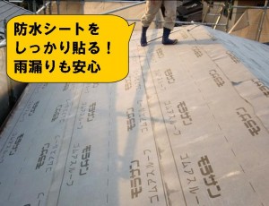 防水シート貼り完了