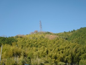 空の青と山の緑