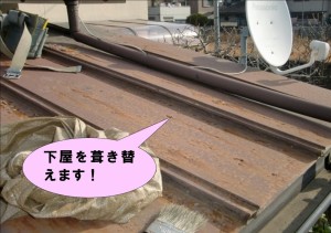 下屋葺き替え