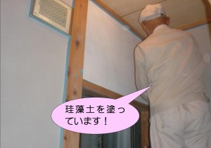 トイレの壁に珪藻土