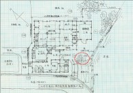 現況図面・松の木