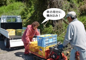 車の荷台に積み込み