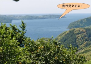 海が見えるよ！！