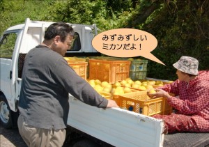 みずみずしいミカン