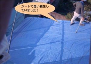 シートで屋根養生