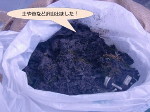 土や苔が詰まっていました！