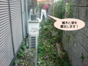 外構周りの草など撤去