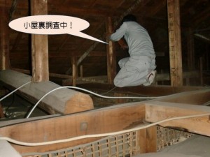 小屋裏調査中