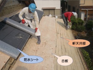 下屋根に防水シート貼り