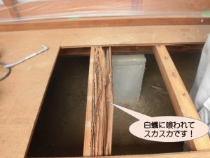 白蟻に喰われた廊下の下地