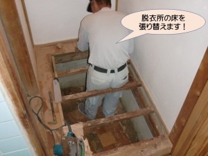 脱衣所の床を張り替えます！