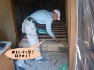 玄関正面の廊下の床を張り替えます！