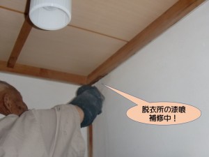 脱衣所の漆喰補修中