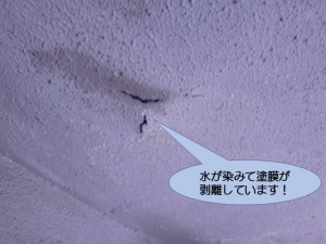 水が染みて塗膜が剥離