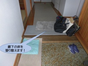 廊下の床を張り替えます