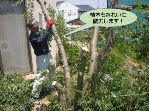 植木もきれいに撤去します