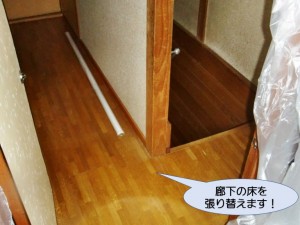 廊下の床を張り替えます