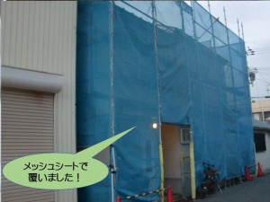 メッシュシートで覆いました