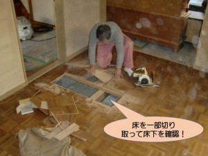 床を一部切り取って床下を確認！