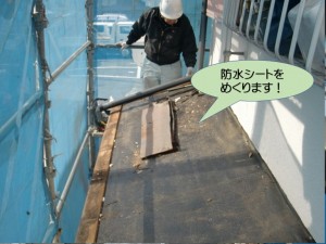 防水シートをめくります