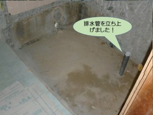 排水管を立ち上げました