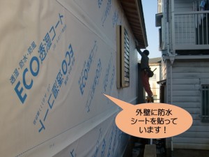 外壁に防水シートを貼っています