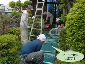 シートで養生します