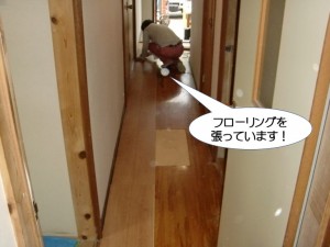 廊下のフローリング