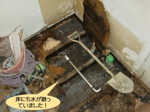 洗面所の床にも水が廻っていました