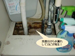 洗面台から水漏れしてカビが発生