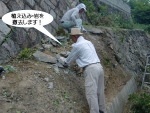 植え込み・岩を撤去