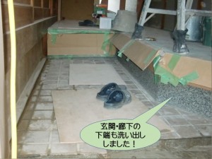 玄関・廊下の下端も洗い出ししました