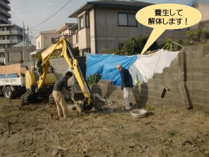 養生して解体します