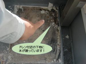 ドレン付近の下地に水が廻っています