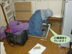 白蟻調査を行います