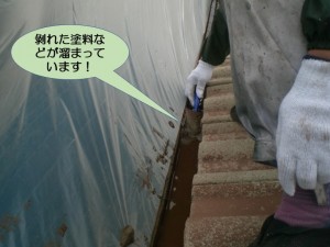 雨樋を掃除