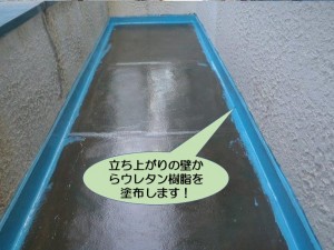 立ち上がりの壁から塗布します