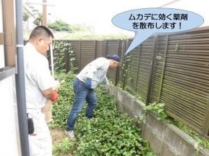 ムカデの薬散布