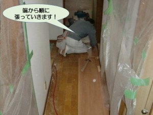 端から順に張っていきます