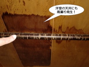 洋室の天井にも雨漏り発生