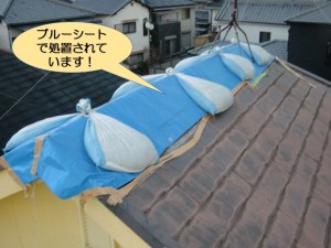 ブルーシートで養生