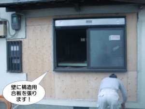 壁に構造用合板を張ります