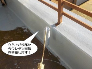 立ち上がり部からウレタン樹脂を塗布します