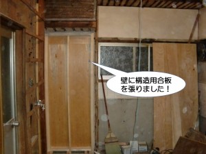 壁に構造用合板を張りました