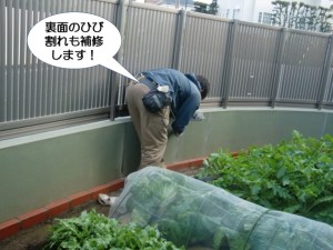 裏面のひび割れも補修します