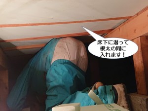 床下に潜って根太の間に入れます