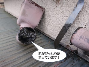 泥がびっしり詰まっています