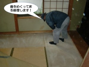 畳をめくって床を修理します
